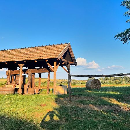 Buzal-Morocza Pinceszet Es Szallashely Bed & Breakfast Etyek Exterior photo